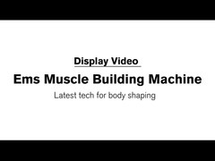 4 van het handvattenems Lichaam Neo Promax4 de Spierstimulator van de het Vermageringsdieetmachine