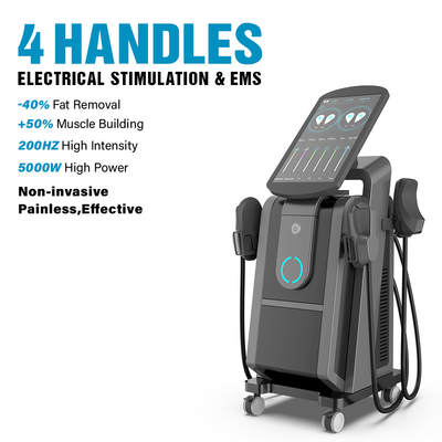 Ce / Fda Big Screen Professional Ems Muscle Stimulator Handsome Increase Building Pelvic Floor Training Machine