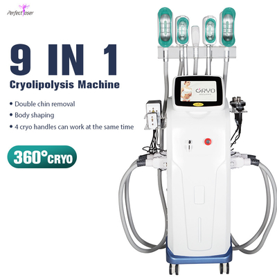 AC 110V/220V 50-60 Hz Fat Reduction Device With 40K Hz Cavitation Frequency