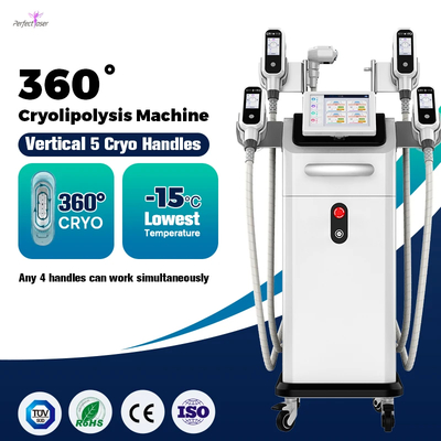AC 110V/220V 50-60 Hz Fat Reduction Device With 40K Hz Cavitation Frequency