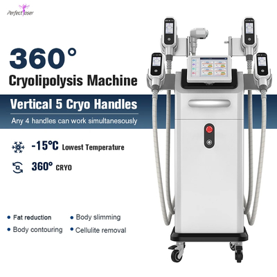 effective cryolipolysis slimming machine with 5mhz rf frequency and 5 cryo handles